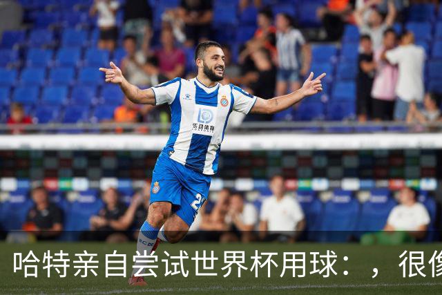 哈特亲自尝试世界杯用球：，很像2010年那款，但没那么难扑