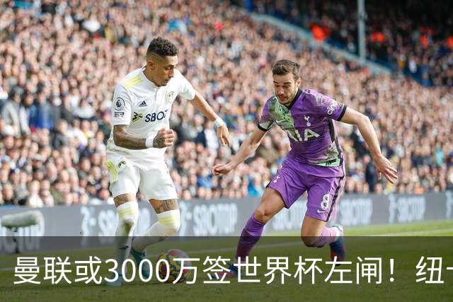 曼联或3000万签世界杯左闸！纽卡拒绝6000万卖霍尔，非要买必须天价