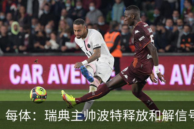 每体：瑞典主帅波特释放和解信号，巴德吉可能重返国家队