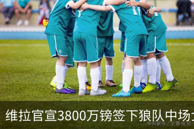 维拉官宣3800万镑签下狼队中场戈麦斯