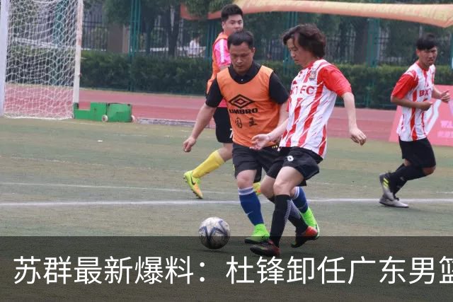 苏群最新爆料：杜锋卸任广东男篮主帅，俱乐部或将聘外教，焦泊乔有望留队